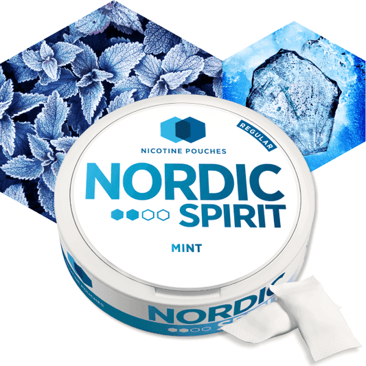 MINT NICOTINE POUCHES BY NORDIC SPIRIT - VapePure